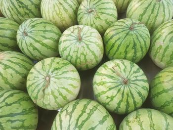 Full frame shot of pumpkins