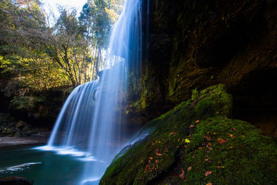 Scenic view of waterfall in forest