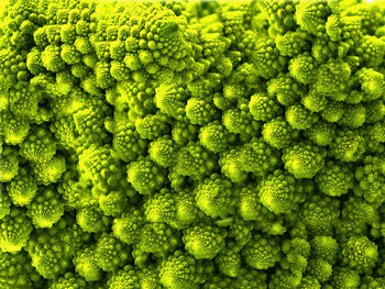 Full frame shot of romanesque cauliflower