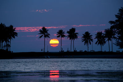 Silhouette palm trees on beach against sky at sunset