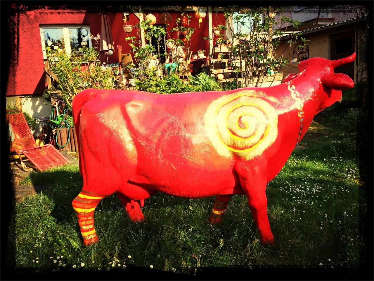 Red cow