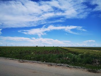 Scenic view of field against sky