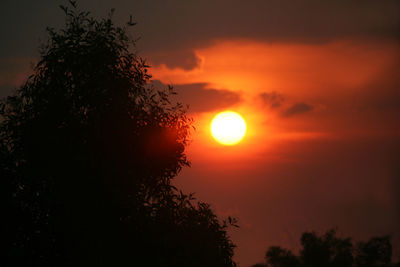 Low angle view of silhouette trees against romantic sky at sunset