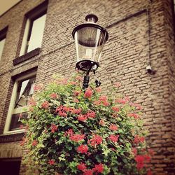 Low angle view of lamp post against building