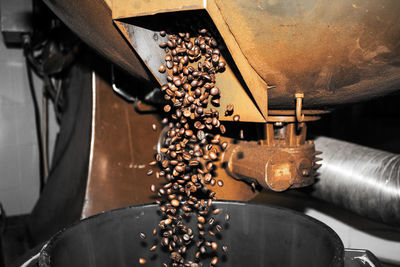 Close-up of coffee beans in factory