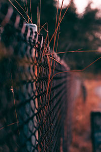 Close-up of barbed wire fence