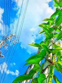 Low angle view of electricity pylon against blue sky