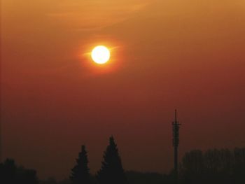 Low angle view of silhouette trees against orange sky