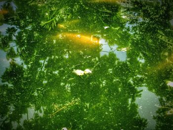 Close-up of water