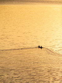 High angle view of people in lake