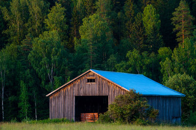 Hut by trees in forest