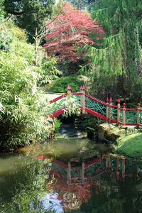 Pond in park