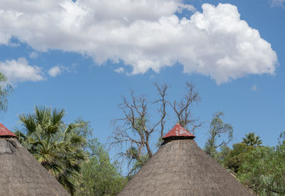 Thatched roofs of african rondavel huts in oudtshoorn south africa