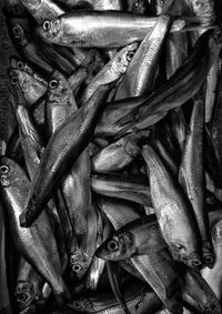 Full frame shot of vegetables
