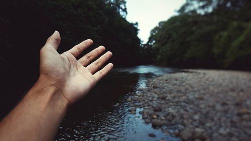 Close-up of cropped hand