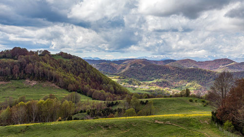 Scenic view of landscape against sky