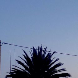 Low angle view of silhouette palm tree against clear blue sky