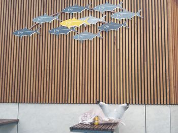 View of birds on wall