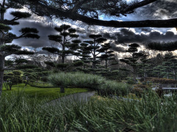 Scenic view of grassy field against cloudy sky