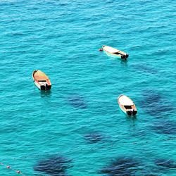 High angle view of swan in sea