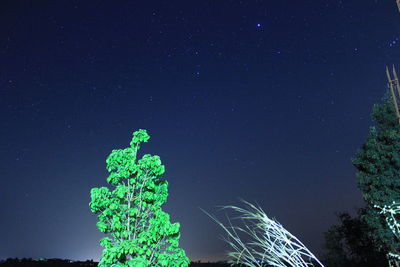 Low angle view of tree against sky at night