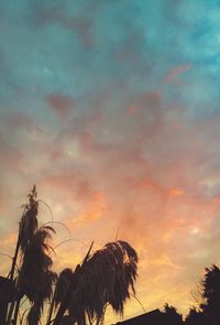 Low angle view of silhouette trees against sky