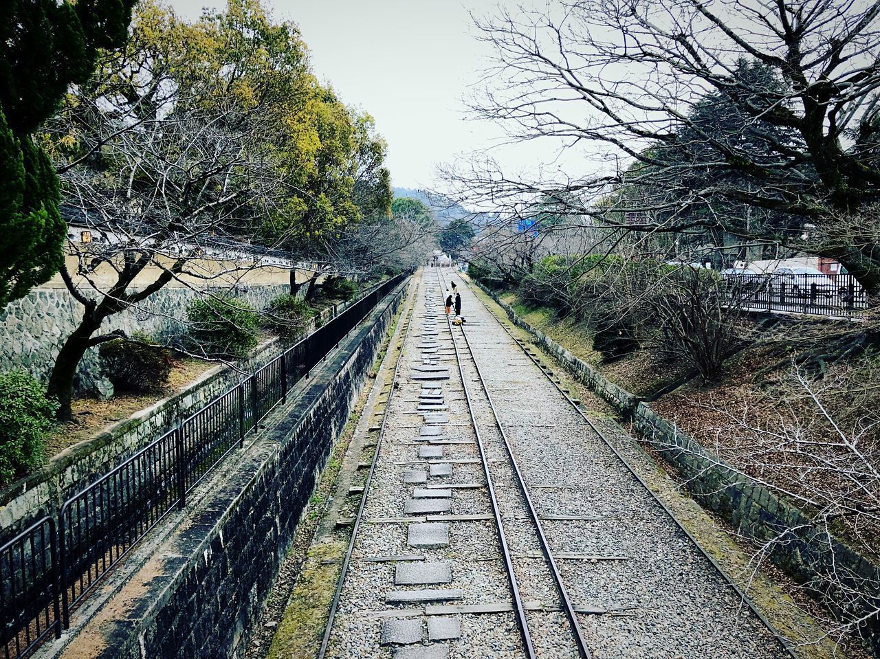 RAILROAD TRACK AMIDST TREES AGAINST SKY