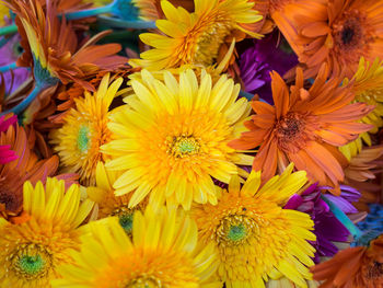 Full frame shot of gerbera daisies for sale at market