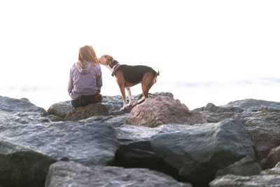 Rear view of dog standing on rock against sea