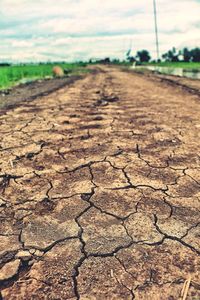 Close-up of cracked land