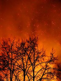Low angle view of silhouette bare trees against sky at night