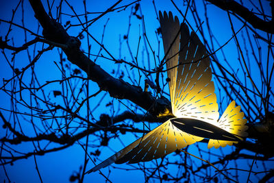 Low angle view of flowering plant against clear sky
