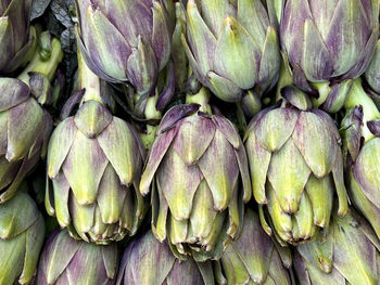 Heap of fresh raw artichokes in farmer market fresh food  background or surface with  raw vegetables