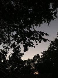 Low angle view of silhouette trees against sky