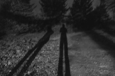 Shadow of person on road