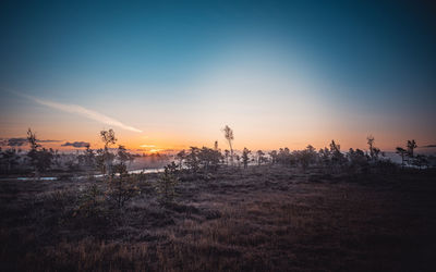 Silhouette trees on field against sky during sunset