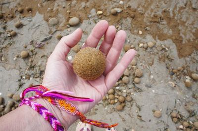 Close-up of hand holding sphere at beach