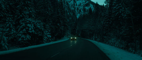 Road amidst trees in forest during winter