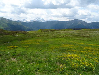 Scenic view of green landscape and mountains