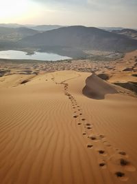 Scenic view of desert landscape