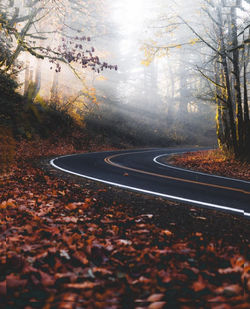 Autumn leaves by road in forest