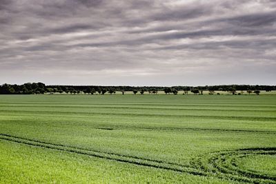 Scenic view of field against cloudy sky