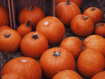 Full frame shot of pumpkins for sale