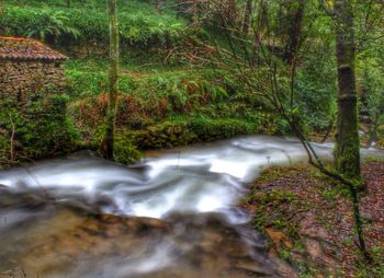 Scenic view of waterfall in forest