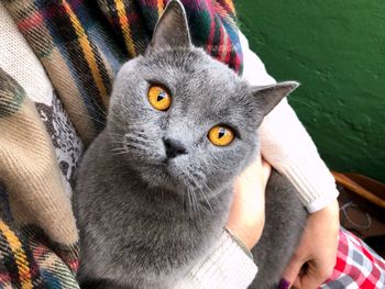 Close-up portrait of kitten on hand