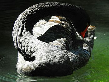 View of water in water