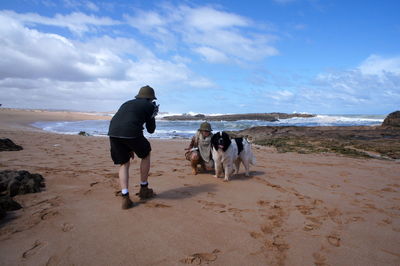 Rear view of dog on beach