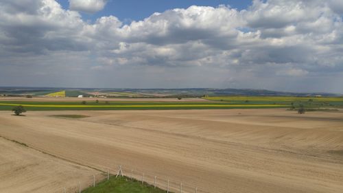 Scenic view of agricultural field against sky