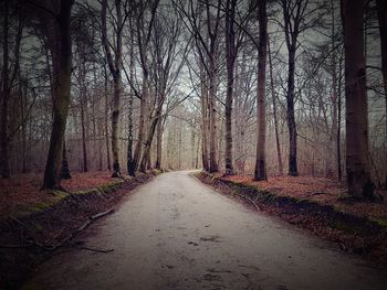 Road amidst trees in forest during autumn