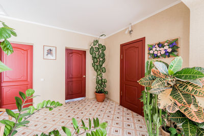 Potted plants on wall of house